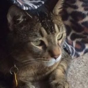 Meet your Posher, Paula